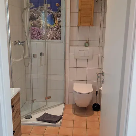 Apartment Rosa